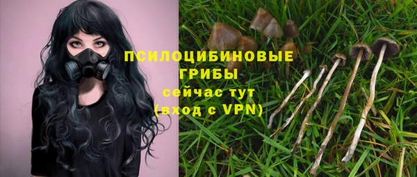 трава Баксан